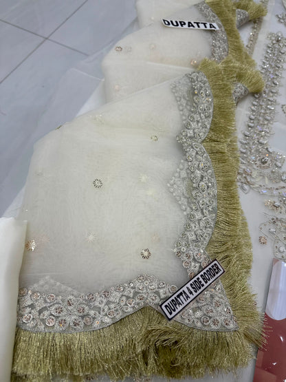 Alizeh Organza Party Wear 5493